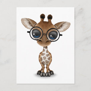 Cartão Postal Curiosa e curiosa girafa Vestindo óculos