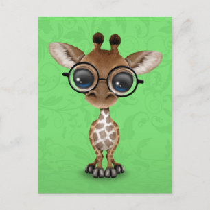 Cartão Postal Curiosa e curiosa girafa Vestindo óculos em verde