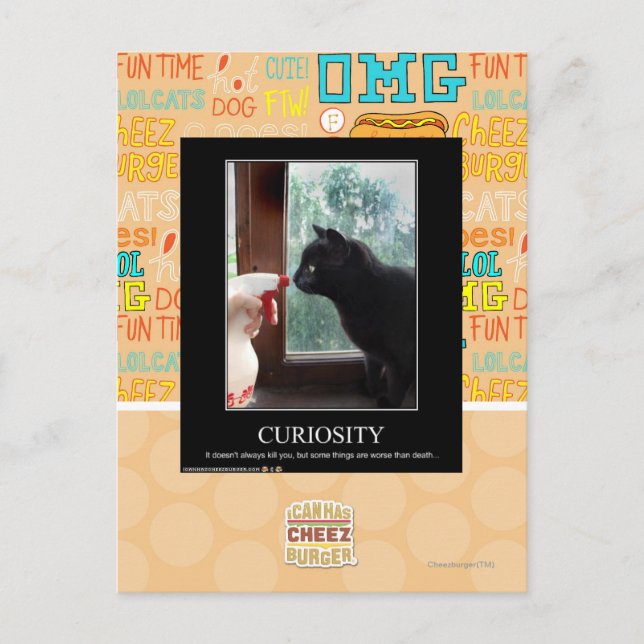 Cartão Postal Curiosidade (Frente)