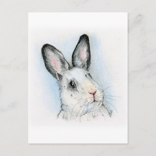 Cartão Postal Curioso (Frente)