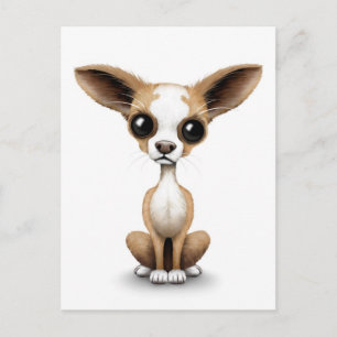 Cartão Postal Curioso Chihuahua com Grandes Orelhas de Branco