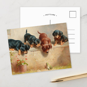 Cartão Postal Curioso Dachshund Puppies Carl Reichert