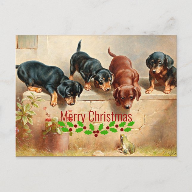 Cartão Postal Curioso Dachshund Puppies e um Sapo, Natal (Frente)
