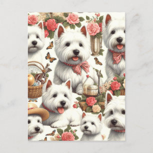 Cartão Postal Curioso Terrier Branco da Highlândia Ocidental, se