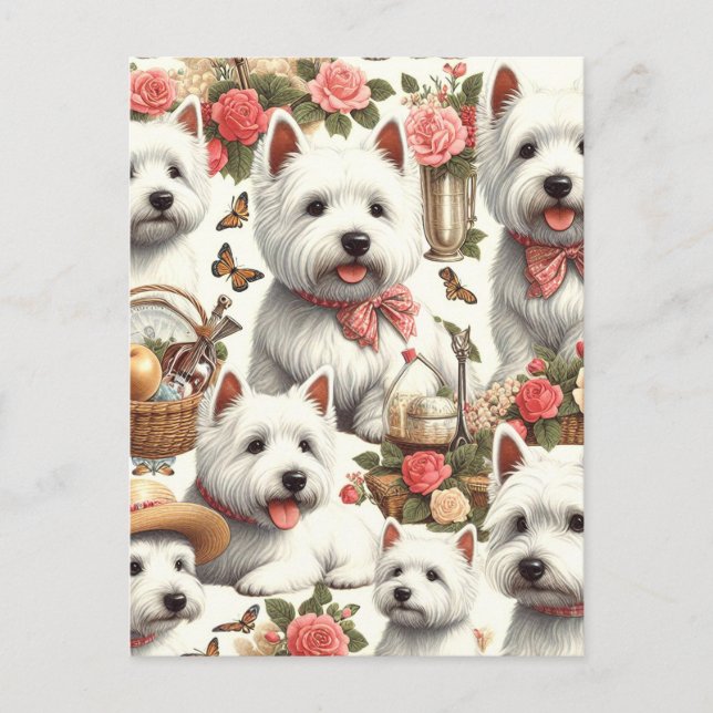 Cartão Postal Curioso Terrier Branco da Highlândia Ocidental, se (Frente)