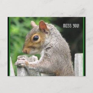 Cartão Postal Curiously Cute, Miss you!