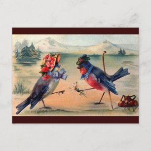 Cartão Postal Curso de Aves