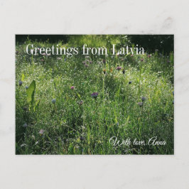 Cartão Postal Custom Greetings from Latvia Wildflower Photograph
