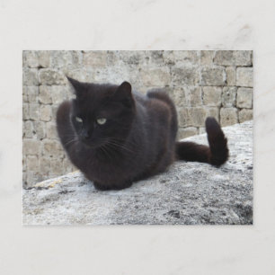 Cartão postal customizado da Gata Preta