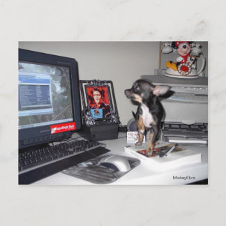 Cartão Postal Cute Baby Mickey Elvis 1