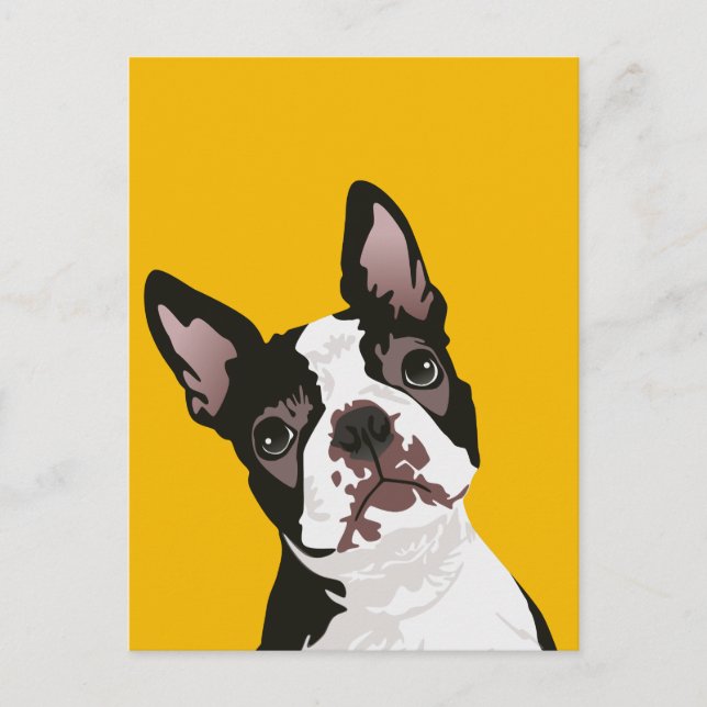 Cartão Postal Cute Boston Terrier Dog para Boston Terrier Owner (Frente)