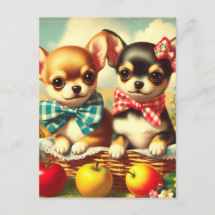 Cartão Postal Cute Chihuahua Puppies