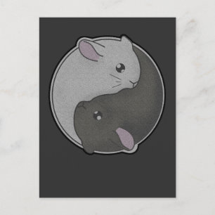 Cartão Postal Cute Chinchilla Gift Yin Yang Rodent Pet Taoism