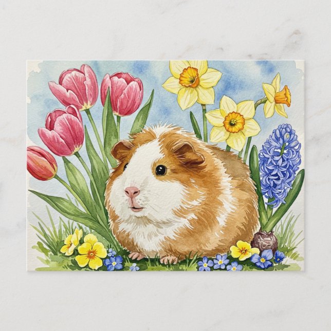 Cartão Postal Cute-Guiné com Cartão-Postal das Flores da primave (Frente)