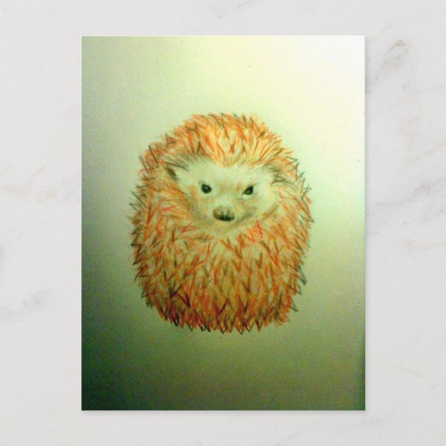 Cartão Postal Cute Hedgehog (Frente)