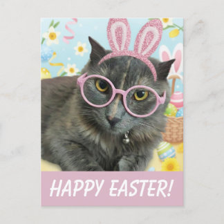 Cartão Postal  Cute Kitten with Bunny Ears photo