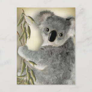 Cartão Postal Cute Koala