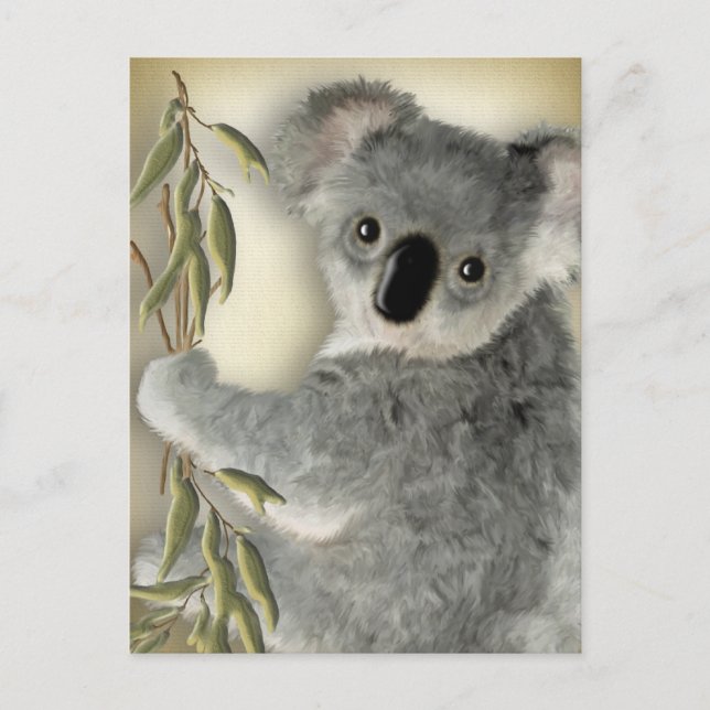 Cartão Postal Cute Koala (Frente)