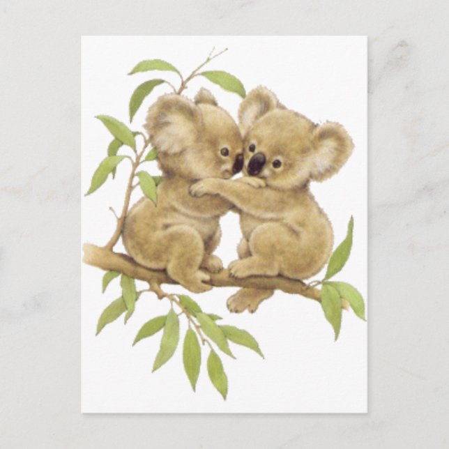 Cartão Postal Cute Koalas (Frente)