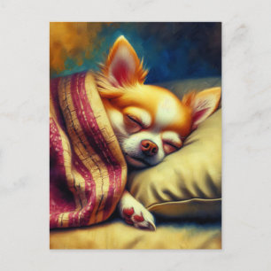 Cartão Postal Cute Napping Chihuahua Manter em contato