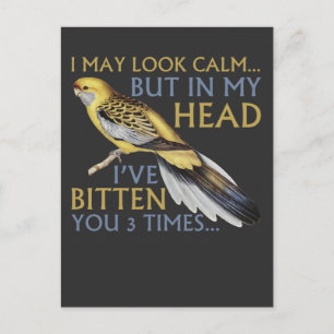 Cartão Postal Cute Parakeet, posso parecer calmo, mordi-lo três 