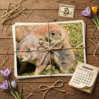 Cartão Postal Cute Realistic Groundhog Family Photo