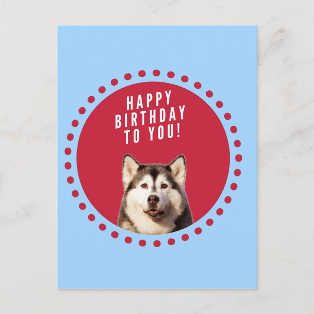 Cartão Postal Cute Siberian Husky Feliz Aniversário, ponto verme (Frente)