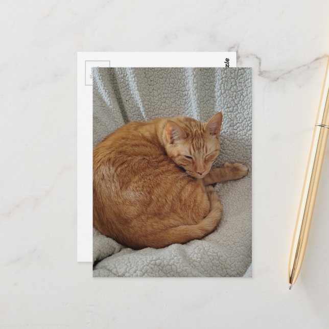 Cartão Postal Cute Sleepy Ginger Kitty (Frente/Verso In Situ)