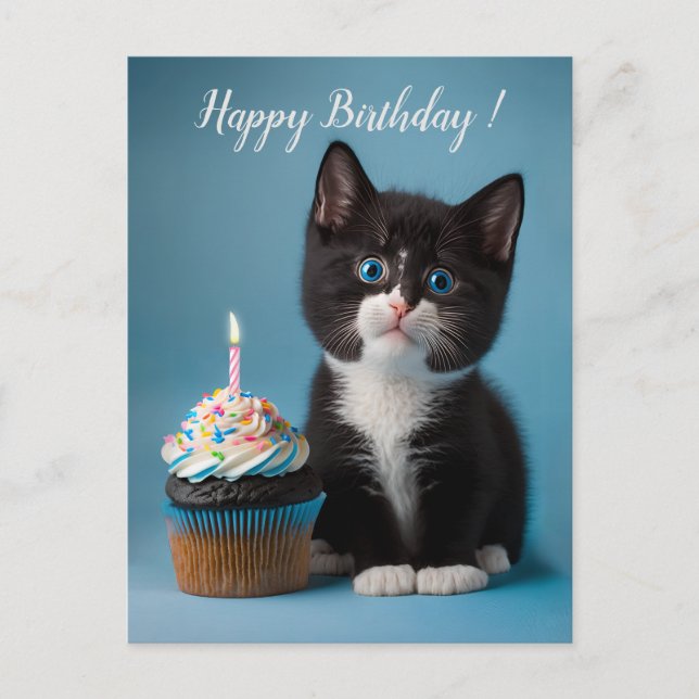 Cartão Postal Cute Tuxedo Kitten Tem Um Cupcake De Aniversário P (Frente)