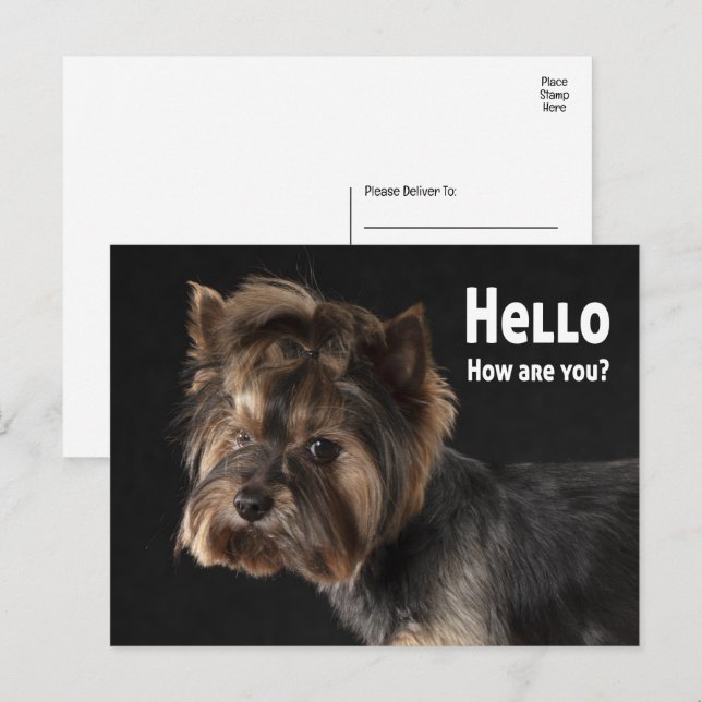 Cartão Postal Cute Yorkie Puppy Dog Love Yorkshire Terrier Hello (Frente/Verso)