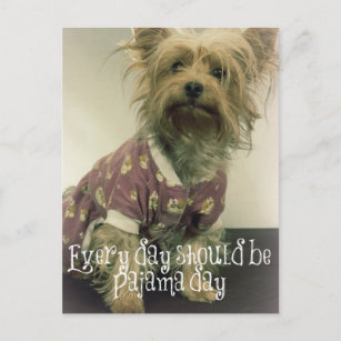 Cartão Postal Cute Yorkshire Terrier em pijama com citação