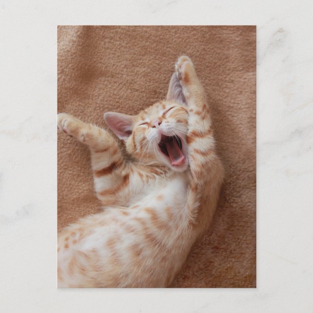 Cartão Postal Cutest Baby Animals | Ginger Kitten Yawning (Frente)