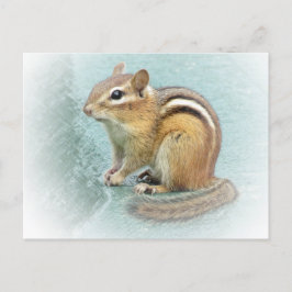 Cartão Postal Cutie distribuído - Chipmunk