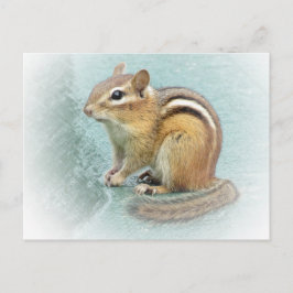 Cartão Postal Cutie distribuído - Chipmunk