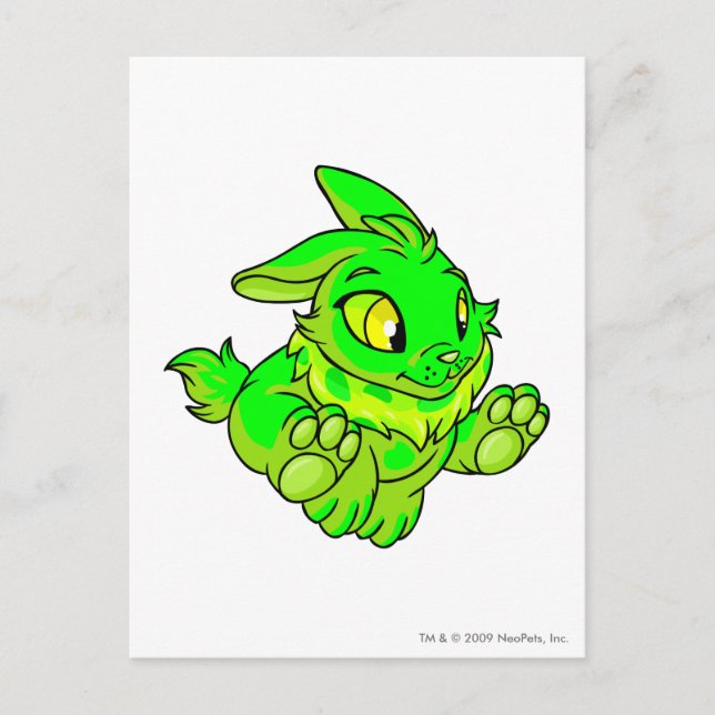 Cartão Postal Cybunny Glowny (Frente)