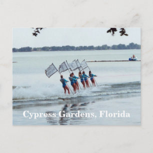 Cartão Postal Cypress Gardens Florida Girls WaterSkiing PostCard