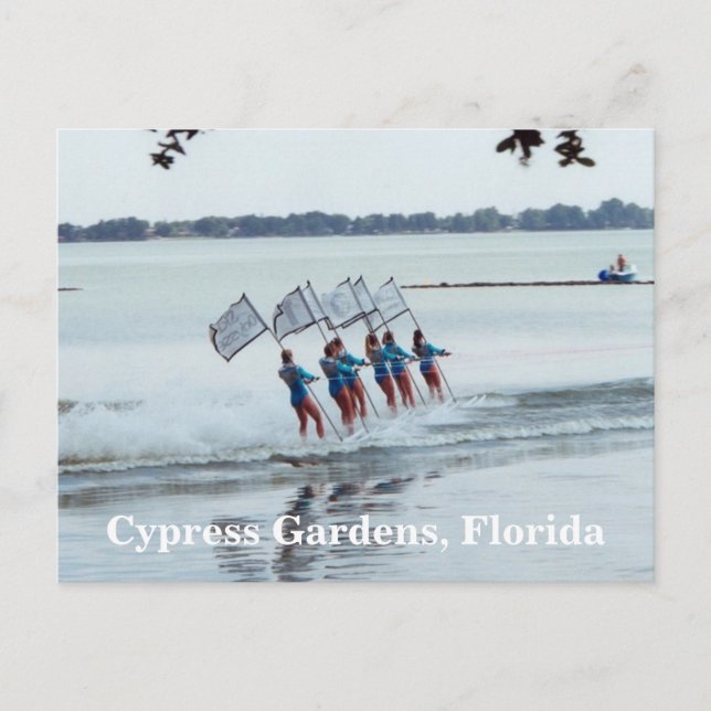 Cartão Postal Cypress Gardens Florida Girls WaterSkiing PostCard (Frente)