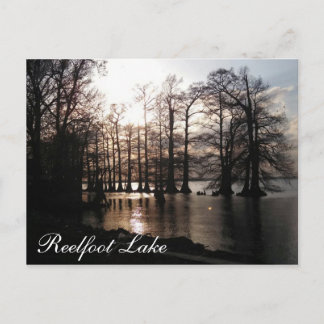 Cartão Postal Cypress Sunset no Reelfoot