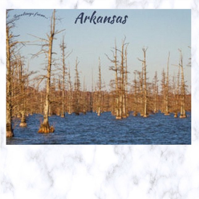 Cartão Postal Cypress Trees em Big Lake NWR Arkansas (Criador carregado)