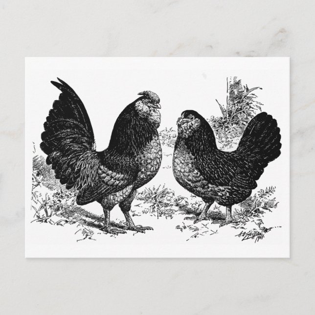 Cartão Postal d' Anver Club (Frente)