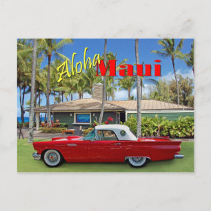 Cartão Postal D.T. Fleming Beach Park