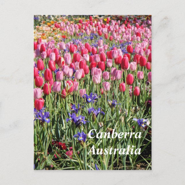 Cartão postal da Austrália (Frente)