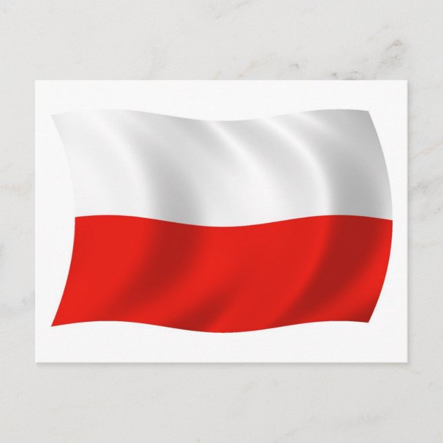 Cartão Postal da Bandeira da Polônia (Frente)