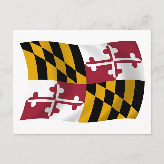 Cartão Postal da Bandeira de Maryland (Frente)