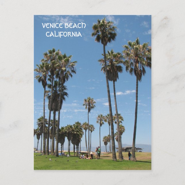 Cartão postal da bela Venice Beach! (Frente)