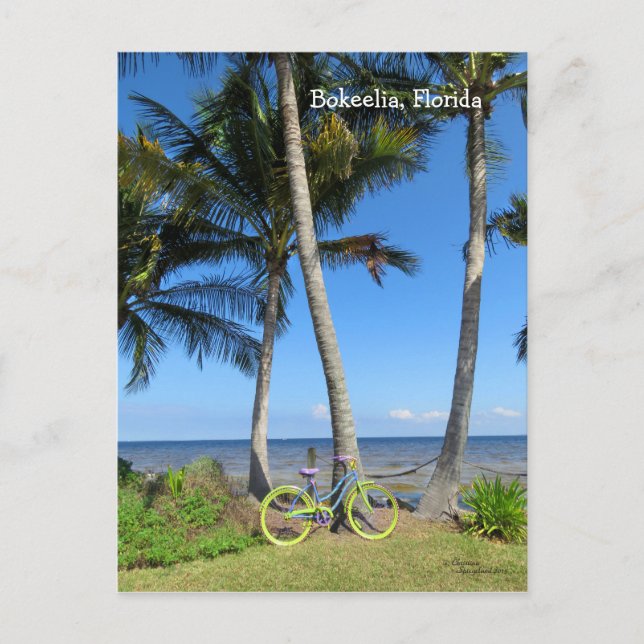 Cartão postal da bicicleta pastel oceano Flórida (Frente)