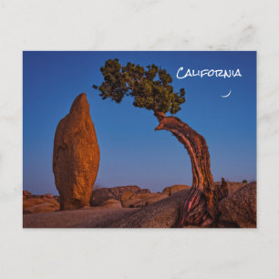 Cartão postal da Califórnia em Joshua Tree
