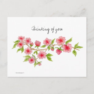 Cartão postal da Cherry Blossom