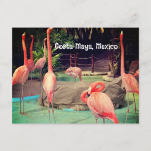 Cartão Postal da Costa Maya México