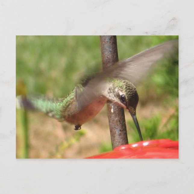 Cartão postal da DG Hummer (Frente)